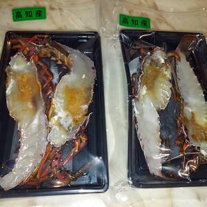 鍋．グラタンに！　簡単調理のプリプリ伊勢海老【冷凍】