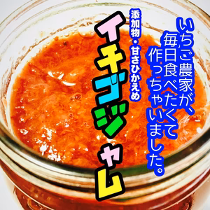いちご農家直送！こだわりの食べるジャム（1本約240ｇ×４本）【冷凍】