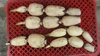 生命力あふれる木更津レンコン（詰め合わせ）１．５㎏　今が旬！