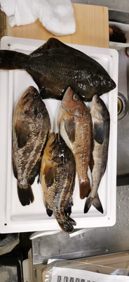 みんなの投稿の画像