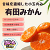 少し傷あり 小玉 小粒 減農薬 甘い うまい 安いの有田みかん　ss