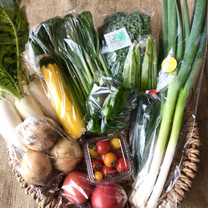 【月に2回定期便】MEGLIYの彩り金沢旬野菜セット＊8〜10品【農薬不使用】