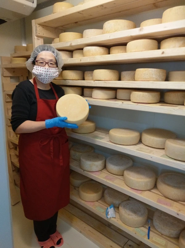 流通量０％　笑）　北海道産　羊乳製のチーズとヨーグルトの３点セット