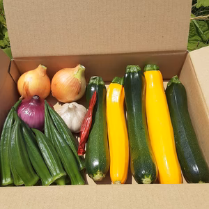かまちゃん農園の「夏野菜セット玉ねぎ入り」❣2セット限り‼