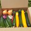 かまちゃん農園の「夏野菜セット玉ねぎ入り」❣2セット限り‼