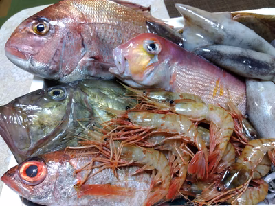 みんなの投稿の画像