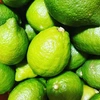 The citrus【LEMON (green)】Ace