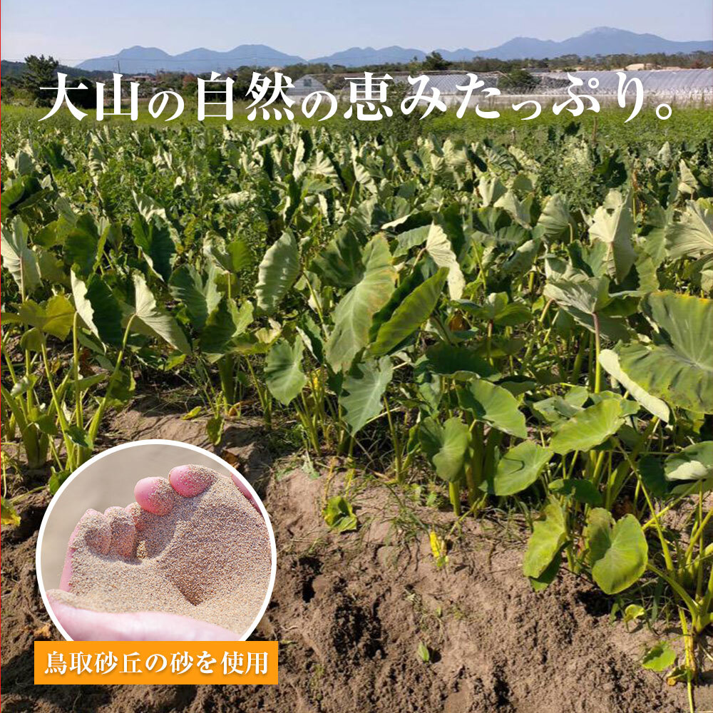 里芋 無農薬 約20キロ 香取農園様専用 - 野菜