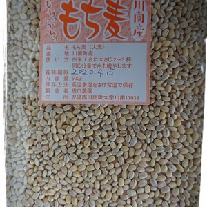 令和２年産プチプチ食感のもち麦500ｇ×３袋セット