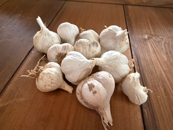 無農薬栽培 にんにく 石川県産 超小粒 ニンニク メール便 送料無料