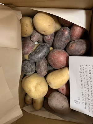 みんなの投稿の画像