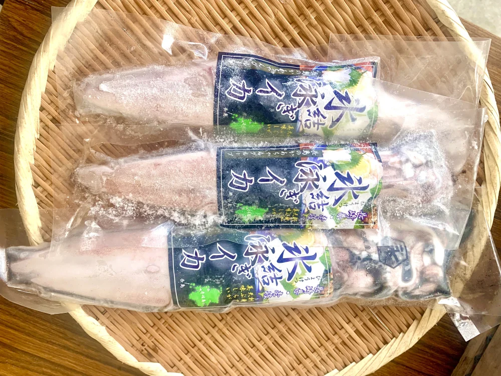 玄界灘壱岐のブトウイカ