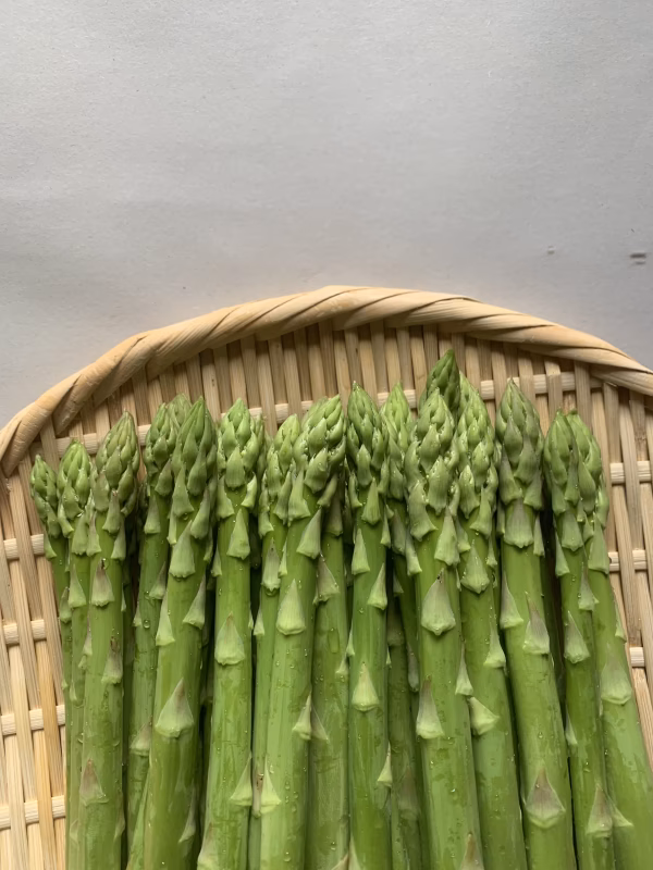 ※C級品※夏芽☆最上アスパラガス☆MからＬ
