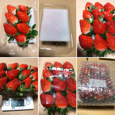 みんなの投稿の画像