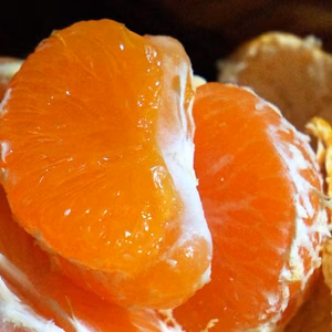 【小玉/5kg】化学農薬不使用！ブランドみかん「高根島みかん」