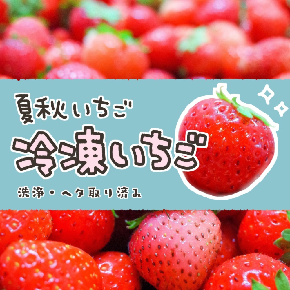 洗浄 ヘタ取済 急速冷凍夏秋いちご 品種mix １kg 農家漁師から産地直送の通販 ポケットマルシェ