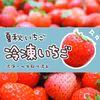 洗浄・ヘタ取済　冷凍夏秋いちご（品種MIX）　１kg～