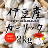 自然栽培 伊豆産にんにく 大小混合 2kg