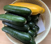 ズッキーニいっぱい20本‼️緑と黄色❗️