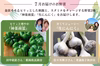 厳選野菜を2つお届け「野菜が主役の定期便」