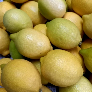 広島育ち皮ごと使える美味しいレモン　(オマケ旬のもの)