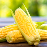 とうきび日和🌽Mr.Boo