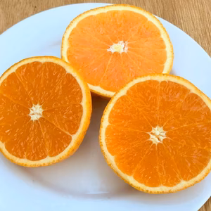 4月採り・完熟清見[家庭用]5kg箱