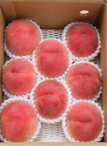 夢桃香の産直通販・お取り寄せ商品｜ポケットマルシェ｜産地直送