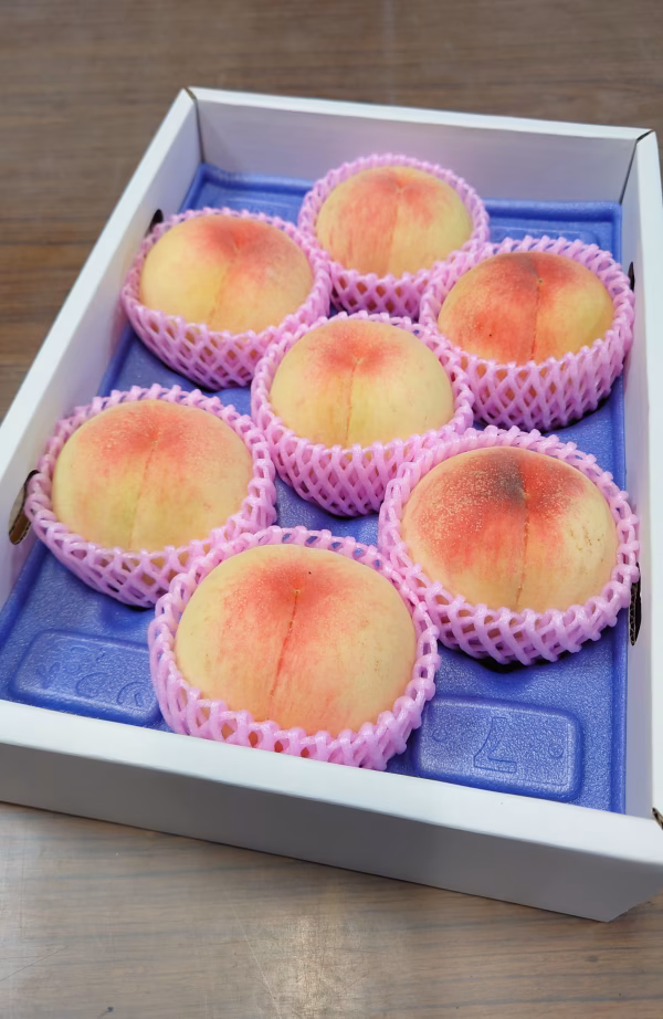 第3回全国桃選手権最高金賞受賞！和歌山生まれの美白桃『紀州白桃』