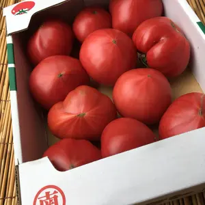 ちょい悪トマト/食味度数★★★★★