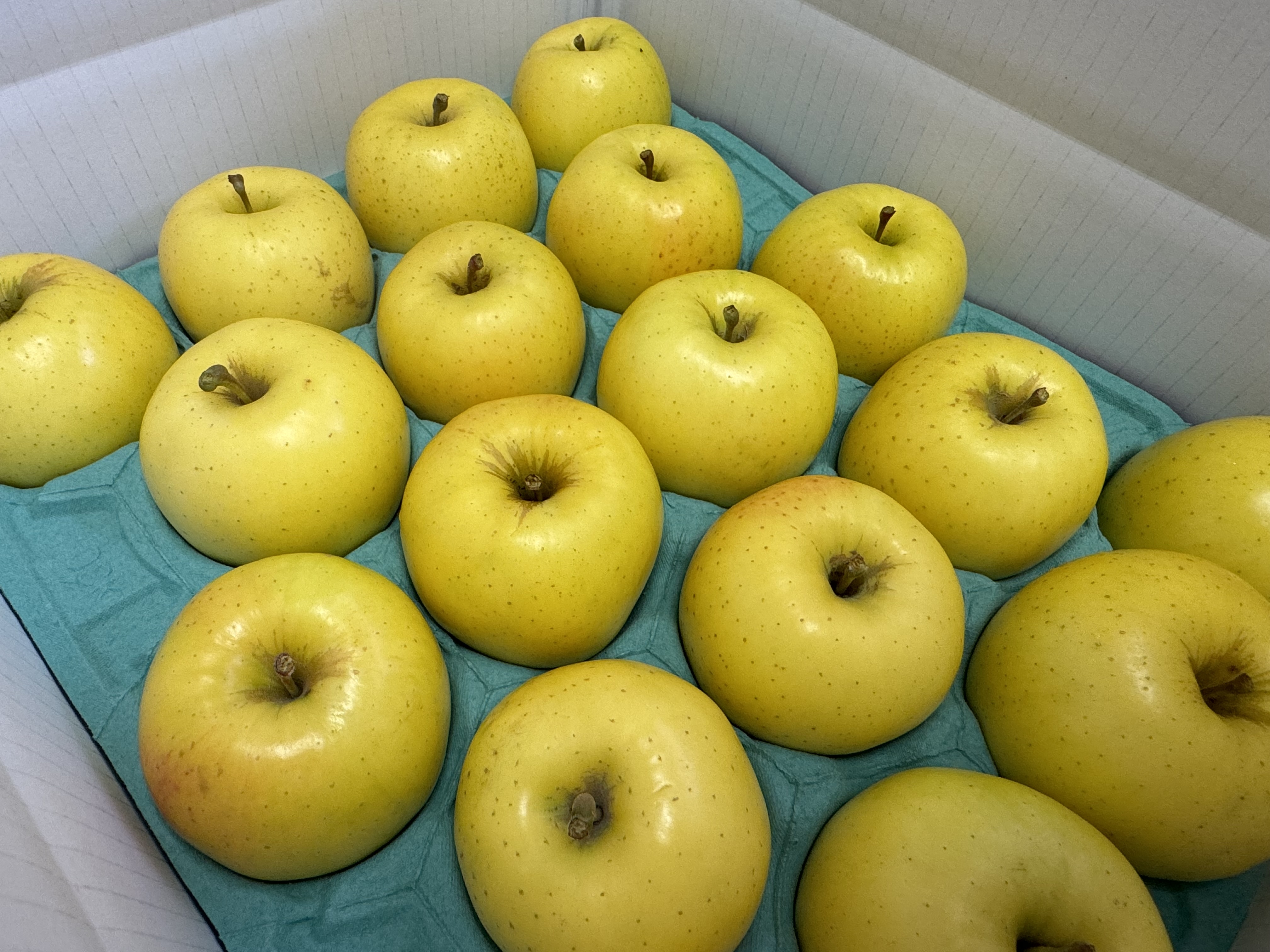 岩手県盛岡市産 家庭用『シナノゴールド』3kg〜5kg シナノゴールド家庭用3kg8-12玉