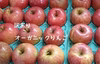 【訳あり】オーガニックりんご　サンふじ3キロ（有機JAS認証）