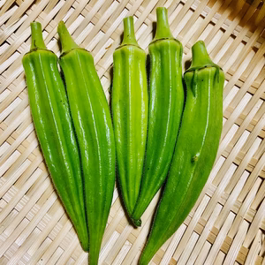 オクラ100gと青トウガラシ50g