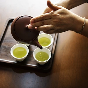 【2022年度産新茶】新茶飲み比べセット 新茶限定パッケージ♪ 静岡 牧之原