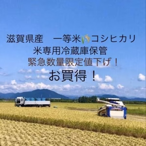 残りわずか数量限定緊急値下げ！冷蔵庫保管令和2年滋賀県産コシヒカリ