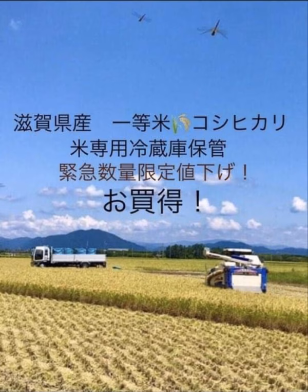 残りわずか数量限定緊急値下げ！冷蔵庫保管令和2年滋賀県産コシヒカリ