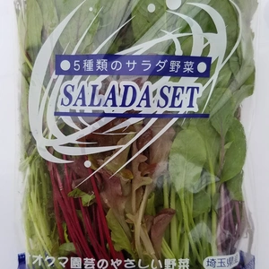 5種のサラダセット