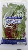 5種のサラダセット