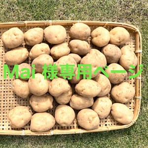 【じゃがいも】メークイン(7kg) Mai様専用