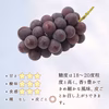 【先行予約】訳あり種無し巨峰1.0～1.2kg