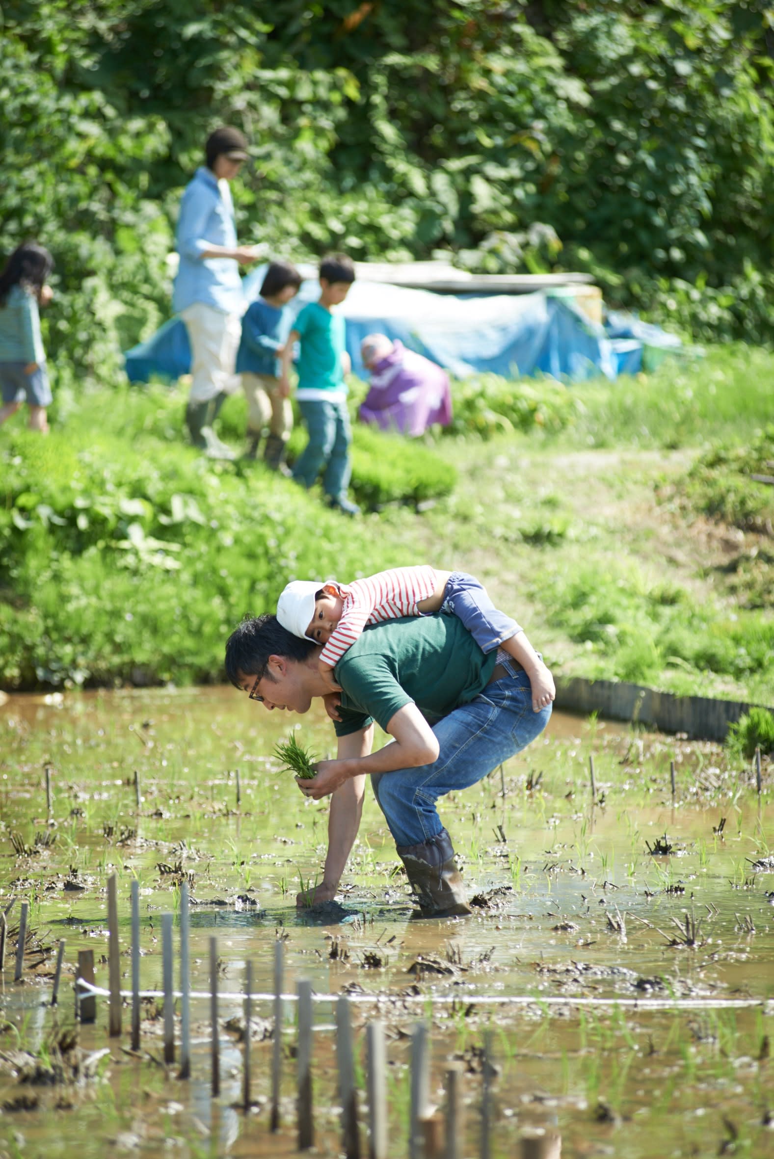 たそがれ野育園 ご入園パスポート とんぼ組大人1名様分 農家漁師から産地直送の通販 ポケットマルシェ