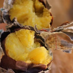 ベニハルカ(訳あり品)