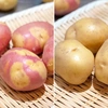 【越冬】インカのひとみ＋インカのめざめ食べ比べセット