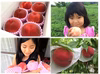 【有機JAS認証】希少で美味しい天然桃【2025年7月前半発送】