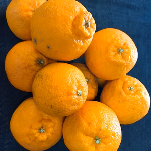 半額!!お徳用訳あり不知火（しらぬい）5ｋｇ