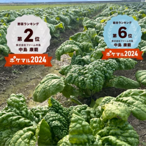 【大容量‼️】『かつお菜』九州限定❗️旨みがギュッと詰まってる❗️