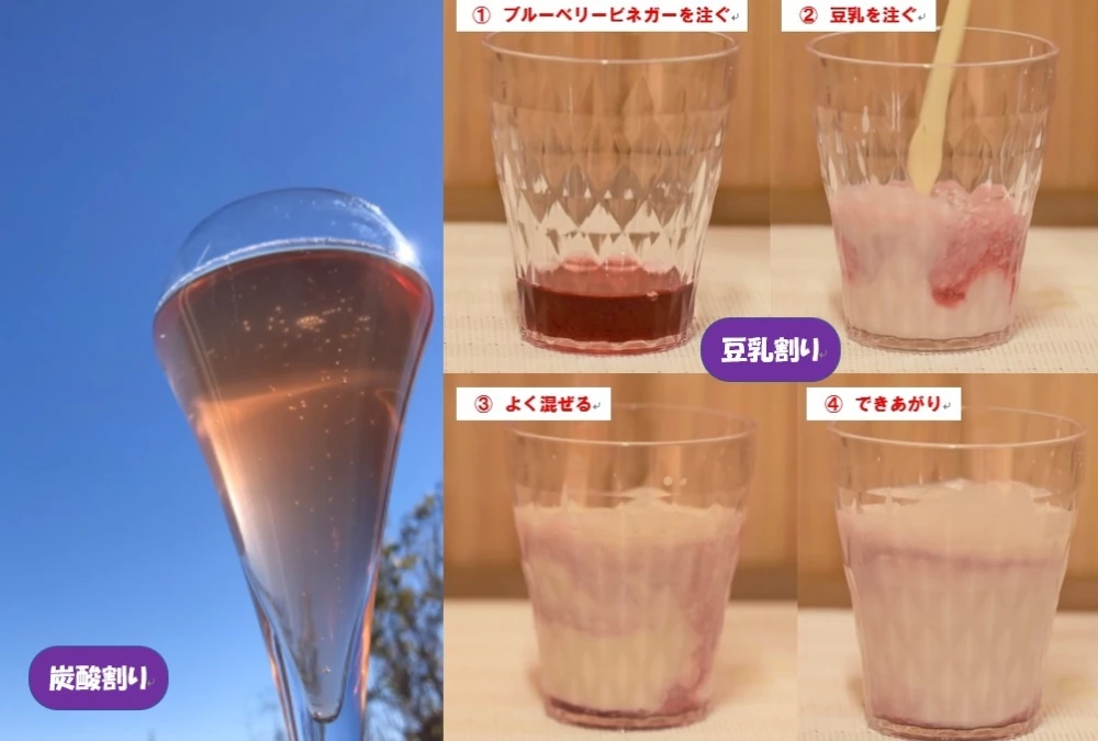【お徳用】ブルーベリービネガー 1000ml 【おやすみ前にコップ１杯50日分】