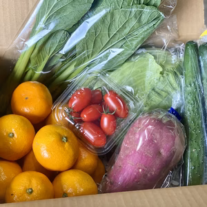 お買い得！みかん2ｋｇと採りたて野菜5品セット！