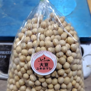 大豆ゆきほまれ　25年北海道富良野産