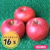 ≪限定販売≫【送料無料】りんご（シナノスイート）16玉箱入